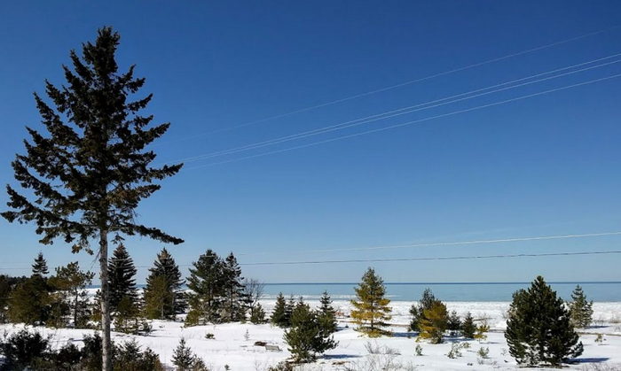 Driftwood Motel - From Website (newer photo)